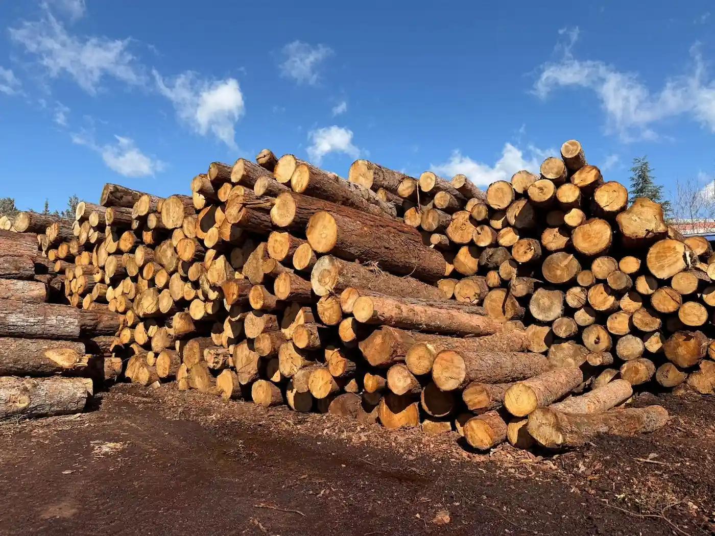 Isparta Kereste Fabrikası – 1963’ten Bu Yana Kereste Üretimi